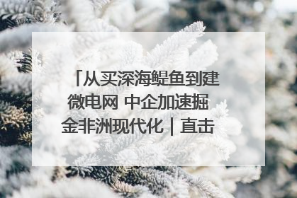 从买深海鳀鱼到建微电网 中企加速掘金非洲现代化｜直击中非经贸博览会