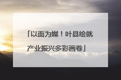 以面为媒！叶县绘就产业振兴多彩画卷