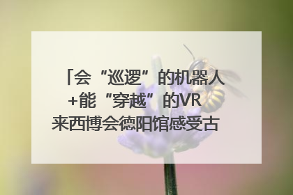 会“巡逻”的机器人+能“穿越”的VR 来西博会德阳馆感受古蜀文明与现代智造的时空对话｜西博视界