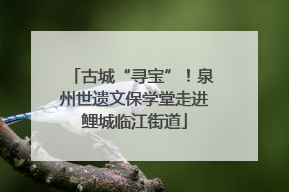 古城“寻宝”！泉州世遗文保学堂走进鲤城临江街道