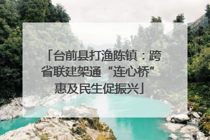 台前县打渔陈镇：跨省联建架通“连心桥” 惠及民生促振兴
