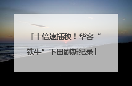 十倍速插秧！华容“铁牛”下田刷新纪录