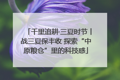 千里追耕·三夏时节丨战三夏保丰收 探索“中原粮仓”里的科技感