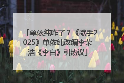 单依纯咋了？《歌手2025》单依纯改编李荣浩《李白》引热议