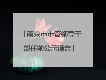 南京市市管领导干部任前公示通告