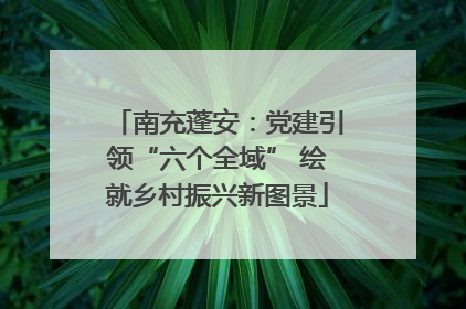 南充蓬安：党建引领“六个全域” 绘就乡村振兴新图景