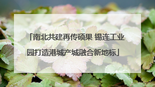 南北共建再传硕果 锡连工业园打造港城产城融合新地标