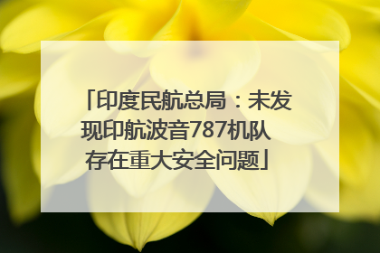 印度民航总局：未发现印航波音787机队存在重大安全问题