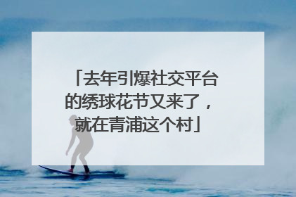 去年引爆社交平台的绣球花节又来了，就在青浦这个村