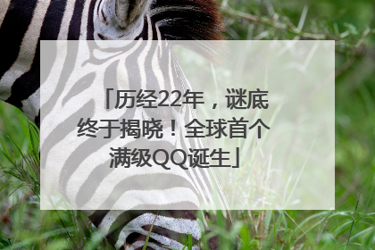 历经22年，谜底终于揭晓！全球首个满级QQ诞生