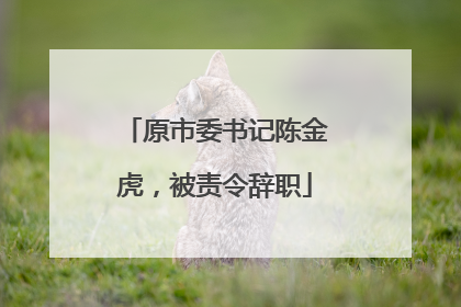 原市委书记陈金虎，被责令辞职
