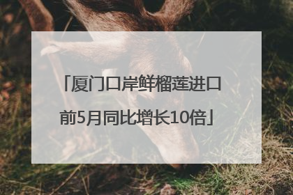 厦门口岸鲜榴莲进口 前5月同比增长10倍