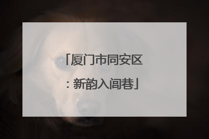厦门市同安区：新韵入闾巷