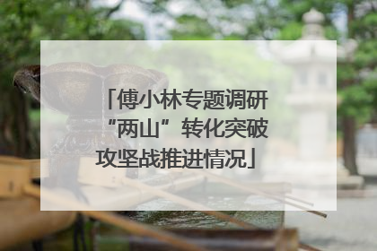 傅小林专题调研“两山”转化突破攻坚战推进情况