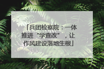 兵团检察院：一体推进“学查改”，让作风建设落地生根