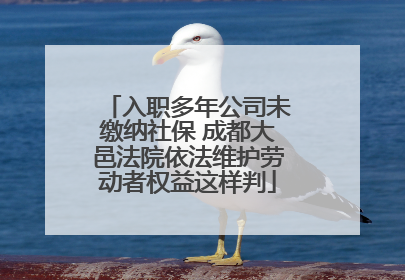 入职多年公司未缴纳社保 成都大邑法院依法维护劳动者权益这样判