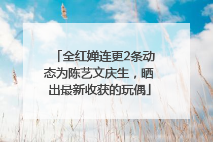 全红婵连更2条动态为陈艺文庆生，晒出最新收获的玩偶