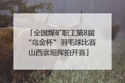 全国煤矿职工第8届“乌金杯”羽毛球比赛山西襄垣挥拍开赛
