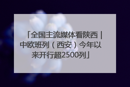 全国主流媒体看陕西｜中欧班列（西安）今年以来开行超2500列