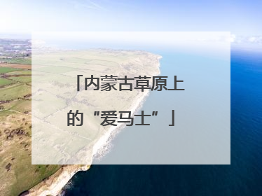 内蒙古草原上的“爱马士”