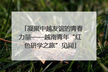 凝聚中越友谊的青春力量——越南青年“红色研学之旅”见闻