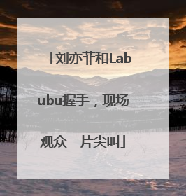 刘亦菲和Labubu握手，现场观众一片尖叫