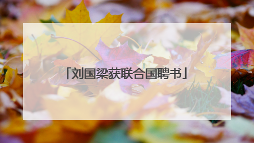 刘国梁获联合国聘书