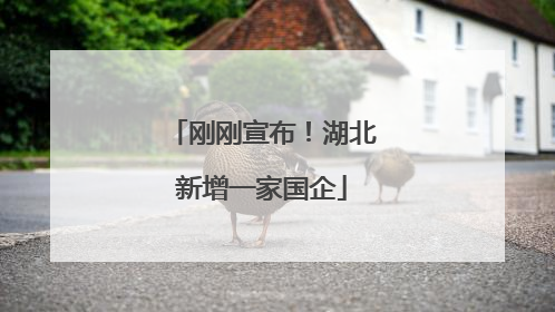 刚刚宣布！湖北新增一家国企