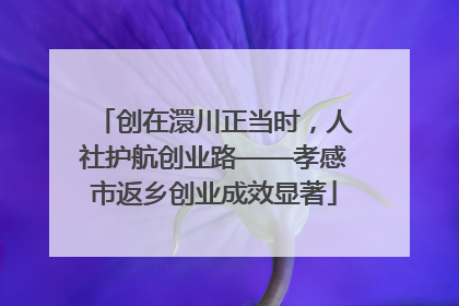 创在澴川正当时，人社护航创业路——孝感市返乡创业成效显著