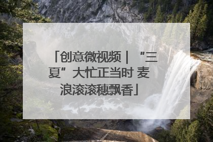 创意微视频｜“三夏”大忙正当时 麦浪滚滚穗飘香