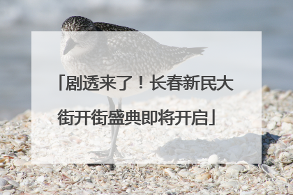 剧透来了！长春新民大街开街盛典即将开启