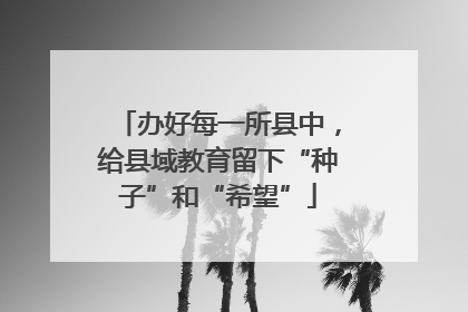 办好每一所县中，给县域教育留下“种子”和“希望”
