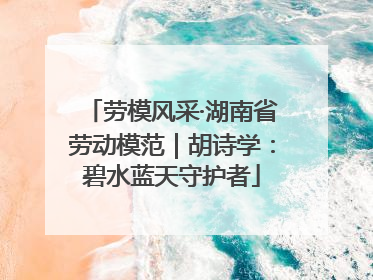 劳模风采·湖南省劳动模范｜胡诗学：碧水蓝天守护者