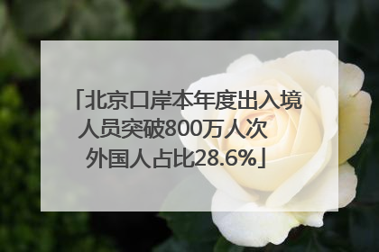 北京口岸本年度出入境人员突破800万人次 外国人占比28.6%