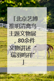 北京艺博推明清禽鸟主题文物展，80余件文物讲述“瑞羽鸣祥”