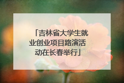 吉林省大学生就业创业项目路演活动在长春举行
