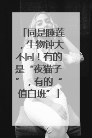 同是睡莲，生物钟大不同！有的是“夜猫子”，有的“值白班”