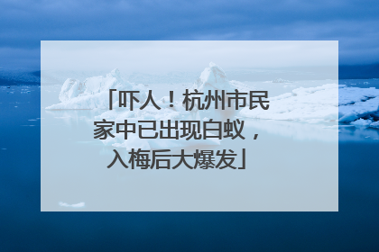吓人！杭州市民家中已出现白蚁，入梅后大爆发