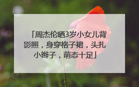 周杰伦晒3岁小女儿背影照，身穿格子裙，头扎小辫子，萌态十足