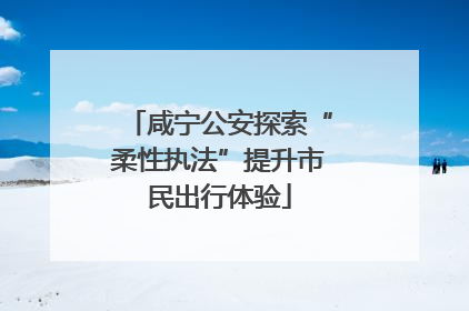 咸宁公安探索“柔性执法”提升市民出行体验