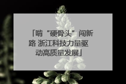 啃“硬骨头”闯新路 浙江科技力量驱动高质量发展