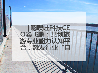嗯噢哇科技CEO窦飞鹏：共创旅游专业能力认知平台，激发行业“自生长”力量