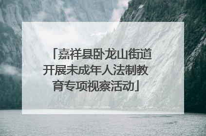 嘉祥县卧龙山街道开展未成年人法制教育专项视察活动