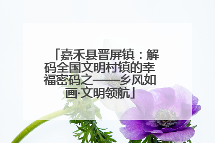 嘉禾县晋屏镇：解码全国文明村镇的幸福密码之——乡风如画·文明领航