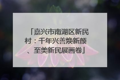 嘉兴市南湖区新民村：千年兴善焕新颜、至美新民展画卷