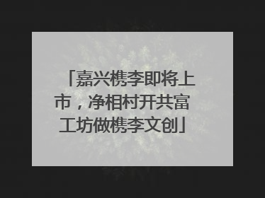 嘉兴槜李即将上市，净相村开共富工坊做槜李文创