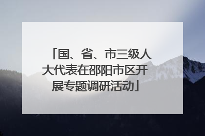 国、省、市三级人大代表在邵阳市区开展专题调研活动