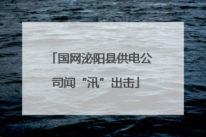 国网泌阳县供电公司闻“汛”出击
