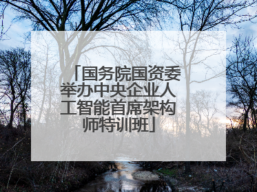 国务院国资委举办中央企业人工智能首席架构师特训班