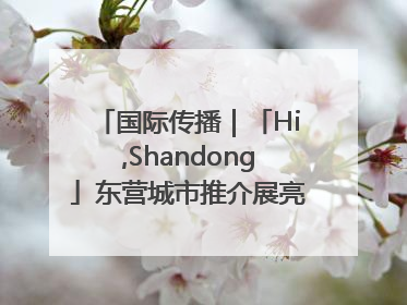 国际传播｜「Hi,Shandong」东营城市推介展亮相“从蒙马特到加里波第”文化节